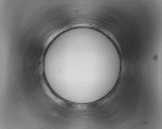 X0000115540890200911061148