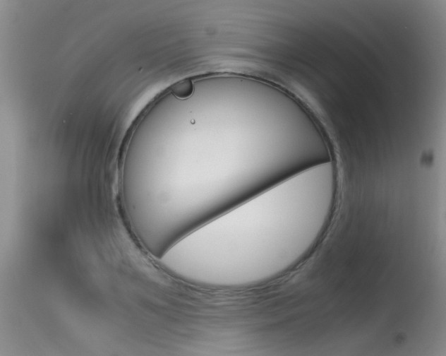 X0000115540891200911061148