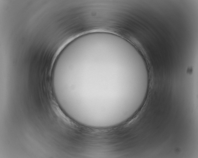 X0000115540892200911061148