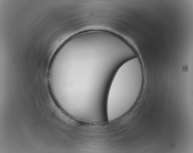 X0000115540895200911061147