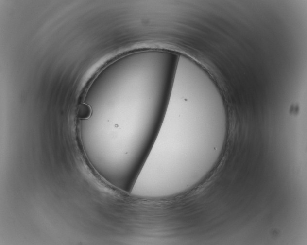 X0000115540896200911061147