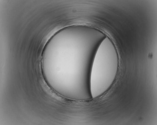 X0000115540899200911061147