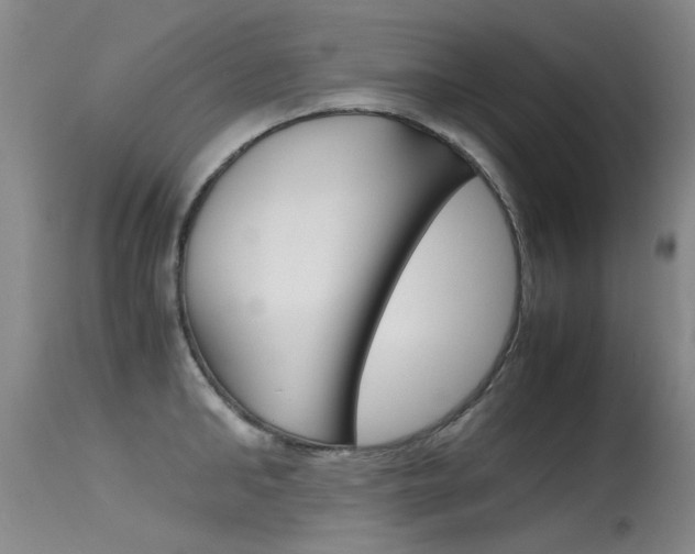 X0000115540902200911061147
