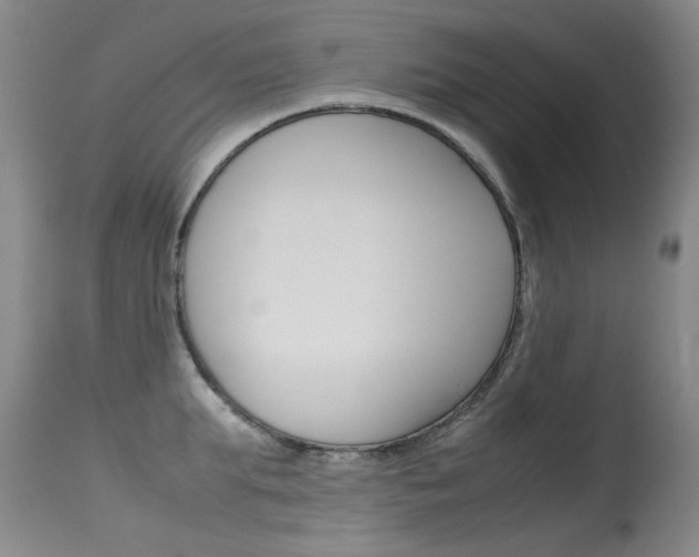 X0000115540903200911061147