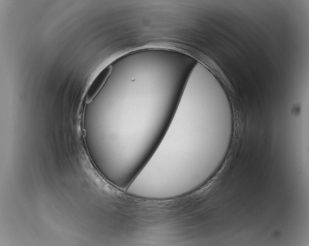 X0000115540908200911061147