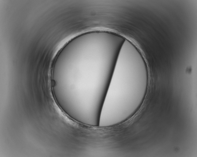 X0000115540910200911061147