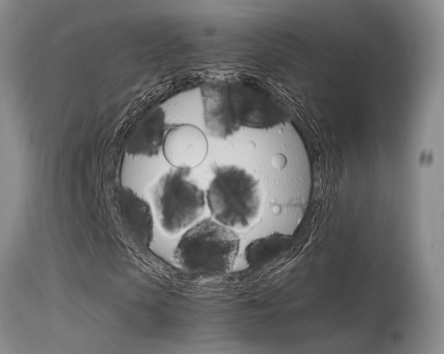 X0000115540913200911061147