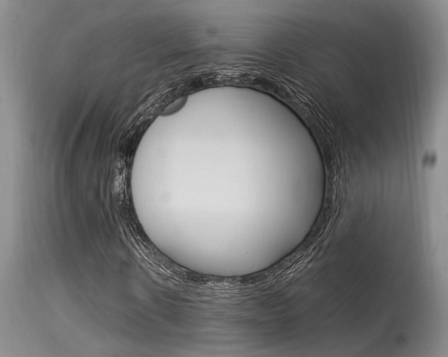X0000115540914200911061147