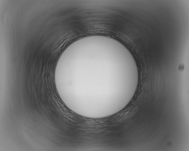 X0000115540915200911061147