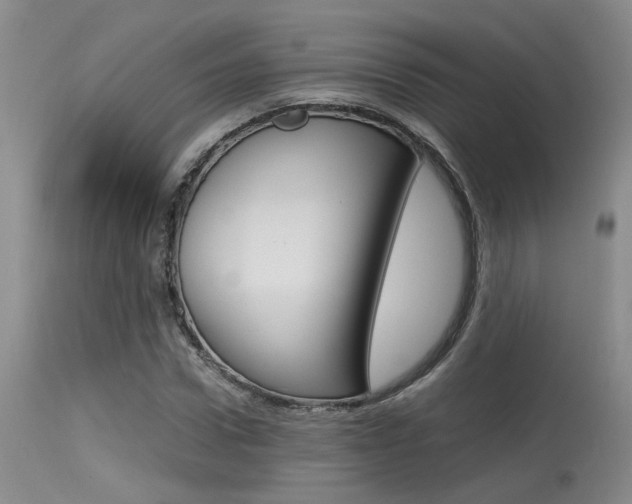 X0000115540922200911061147