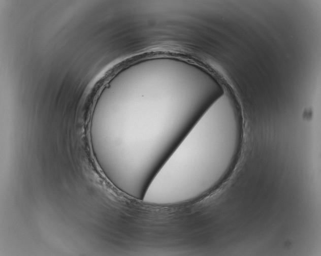 X0000115540923200911061147