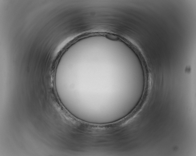 X0000115540925200911061147