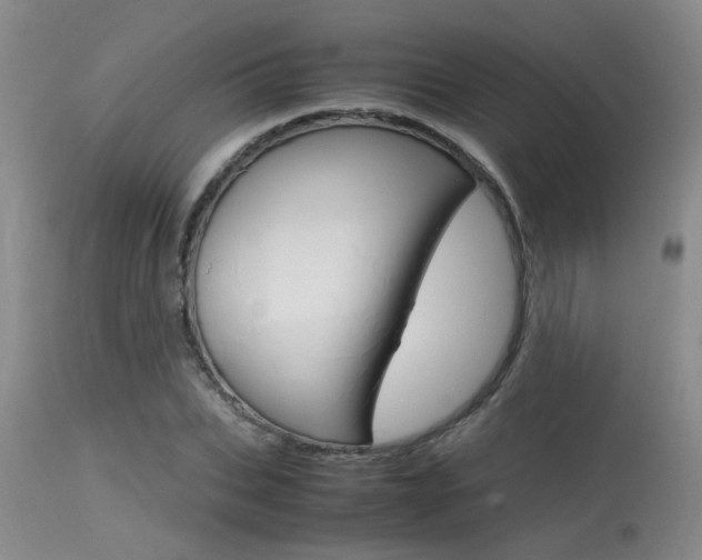 X0000115540927200911061147