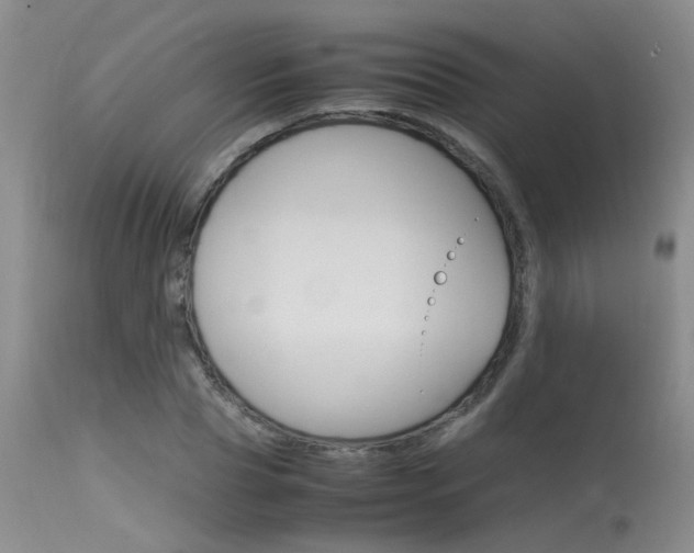 X0000115540929200911061147