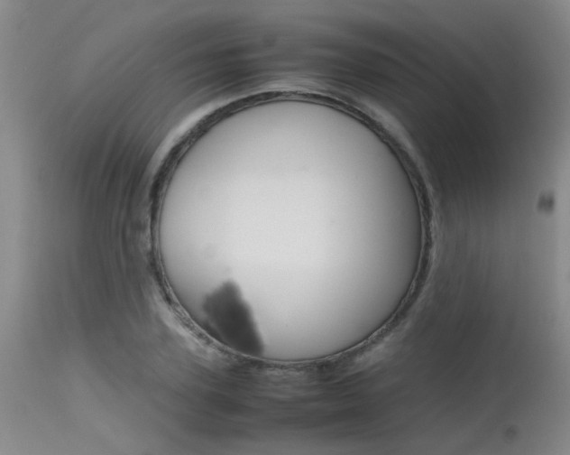 X0000115540931200911061147