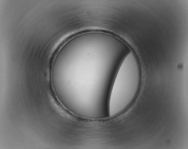 X0000115540934200911061147
