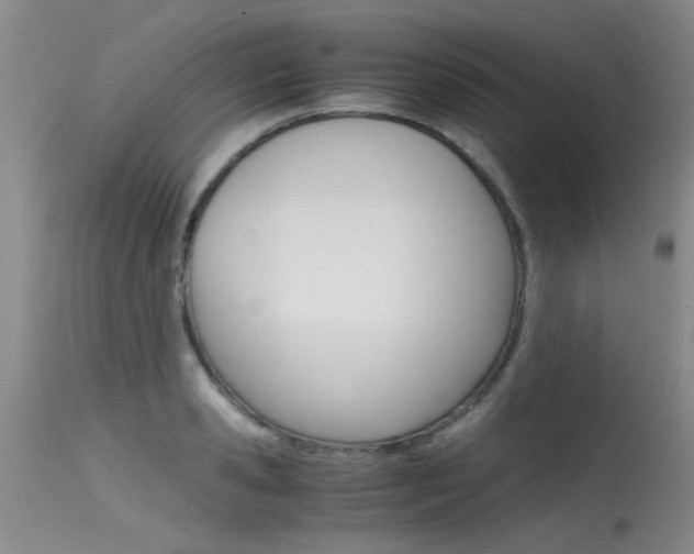 X0000115540941200911061147