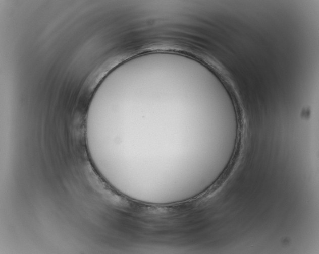 X0000115540945200911061147