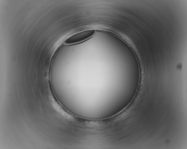 X0000115540946200911061147
