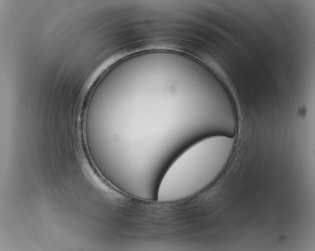 X0000115540947200911061147