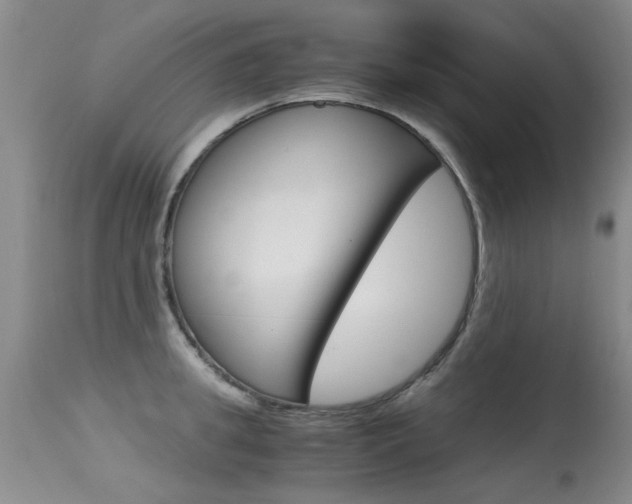 X0000115540949200911061147