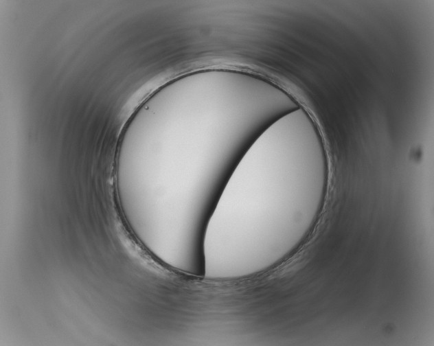 X0000115540954200911061147