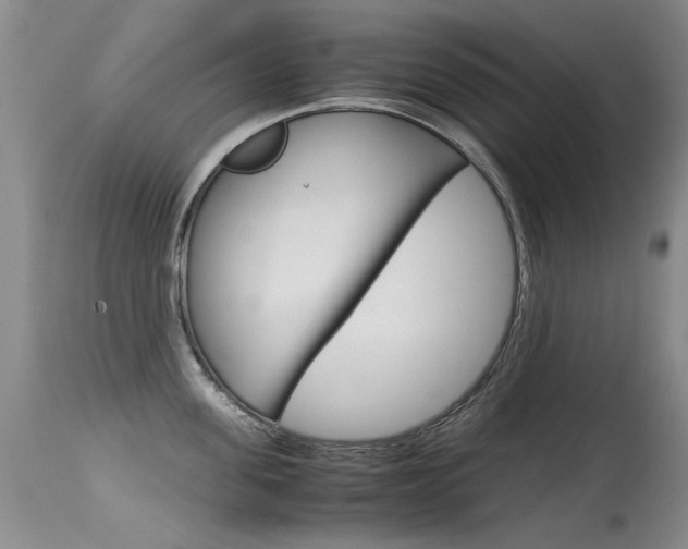 X0000115540955200911061147