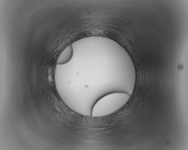 X0000115540962200911061147