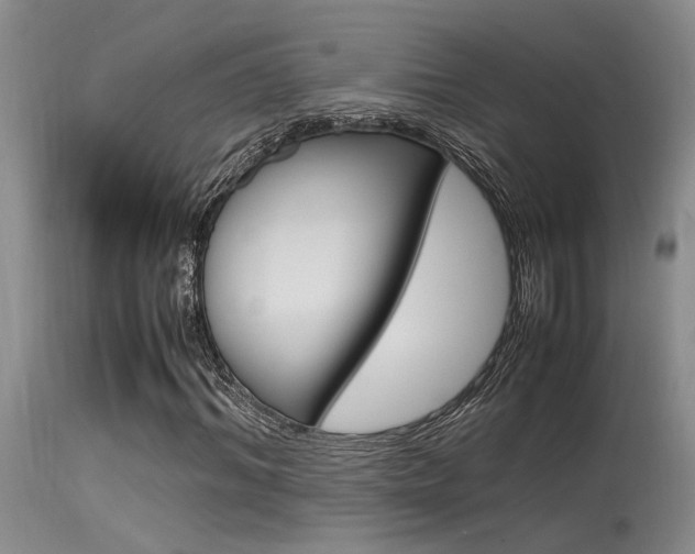X0000115540964200911061147
