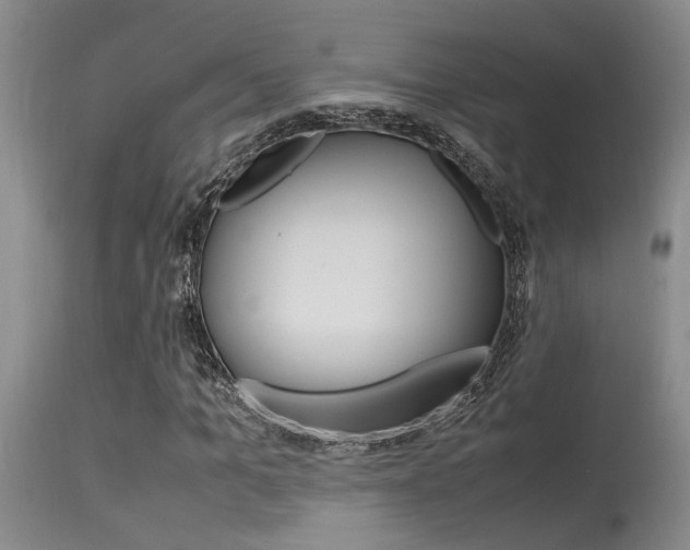 X0000115540965200911061147