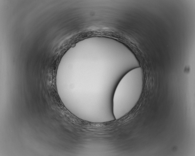 X0000115540966200911061147