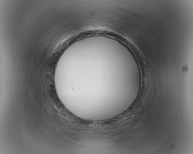 X0000115540967200911061146