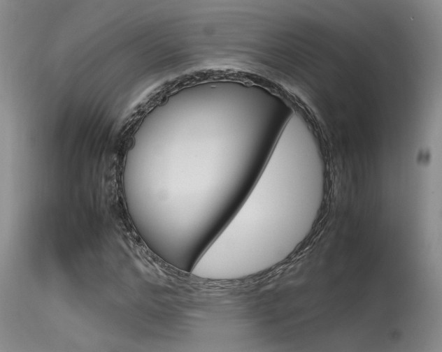 X0000115540968200911061146
