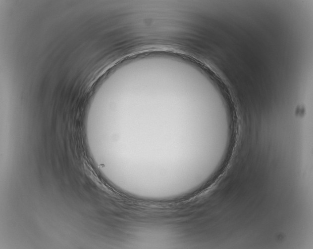 X0000115540969200911061146