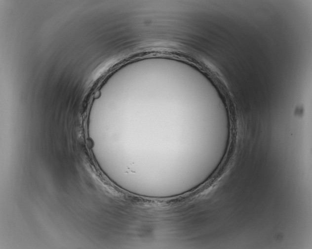 X0000115540970200911061146