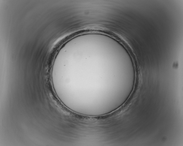 X0000115540971200911061146