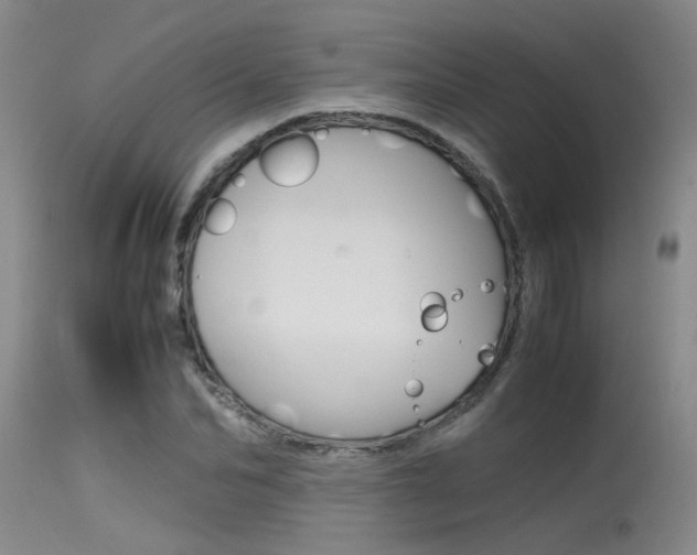 X0000115540974200911061146