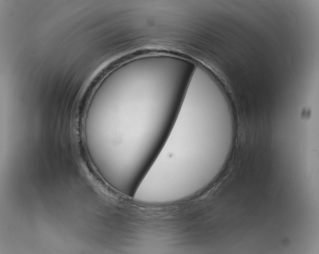 X0000115540976200911061146