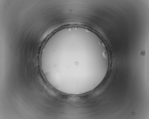 X0000115540978200911061146