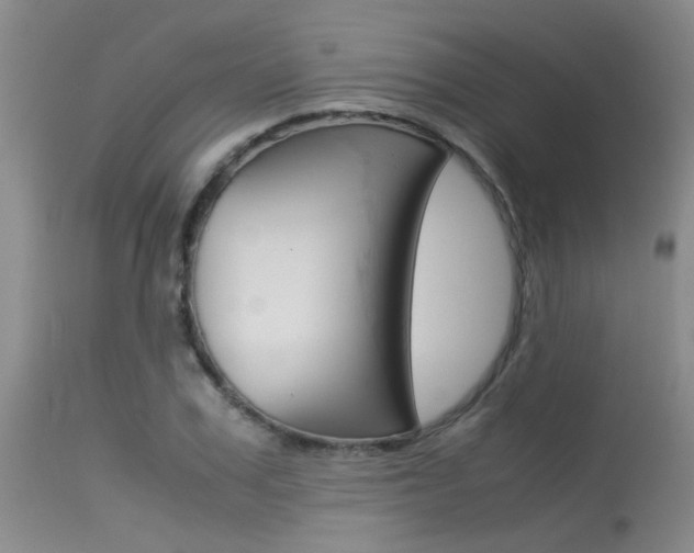 X0000115540979200911061146