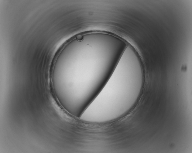 X0000115540980200911061146