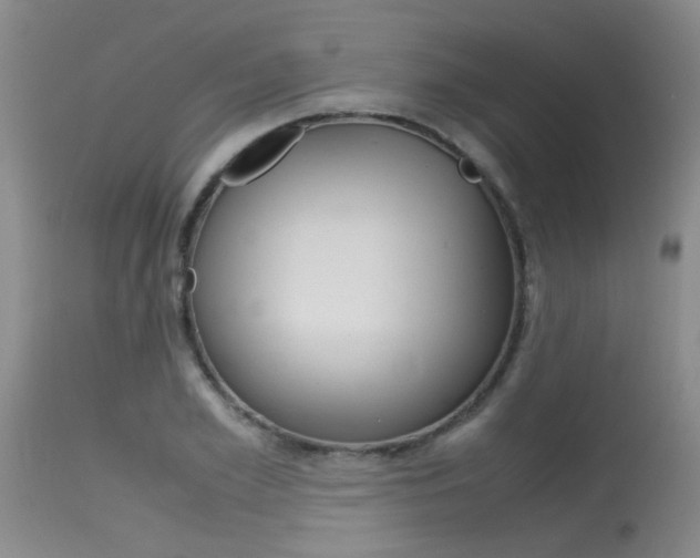X0000115540981200911061146
