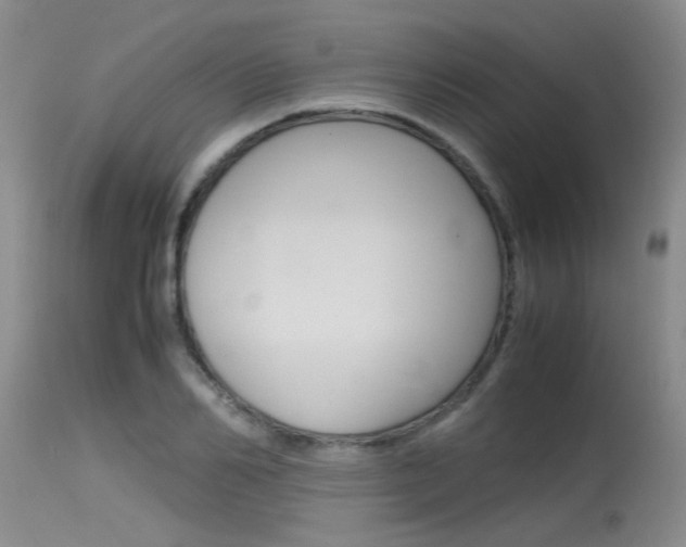 X0000115540982200911061146