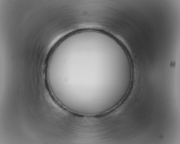 X0000115540983200911061146