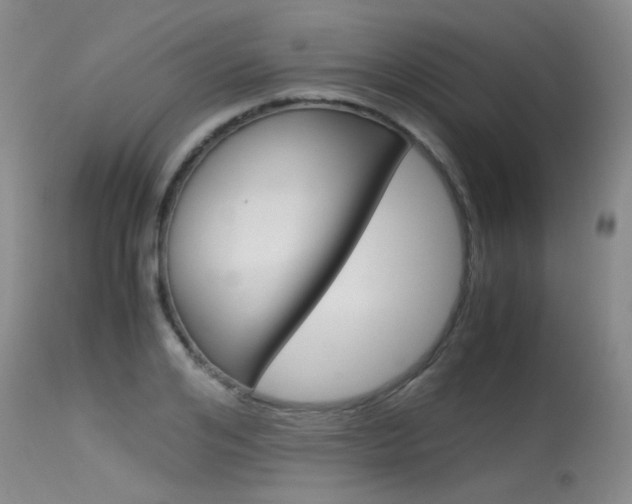 X0000115540984200911061146
