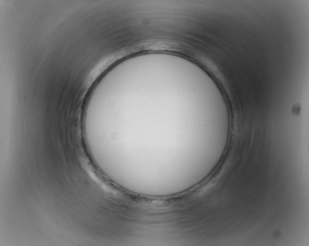 X0000115540986200911061146