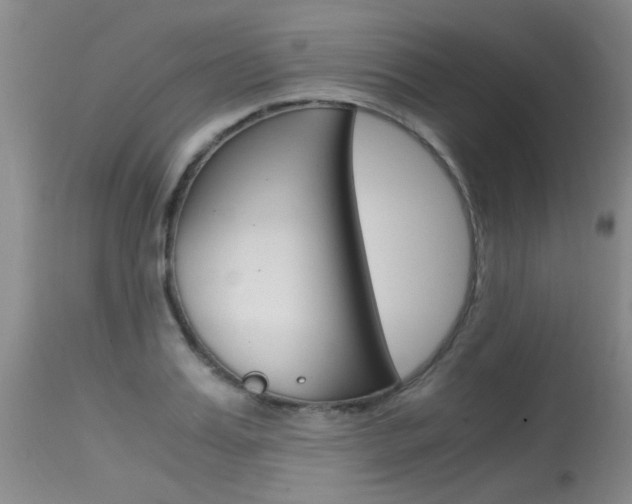X0000115540987200911061146