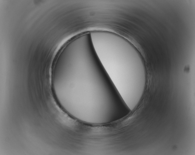 X0000115540988200911061146