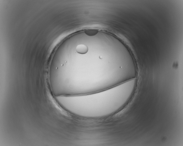 X0000115540989200911061146