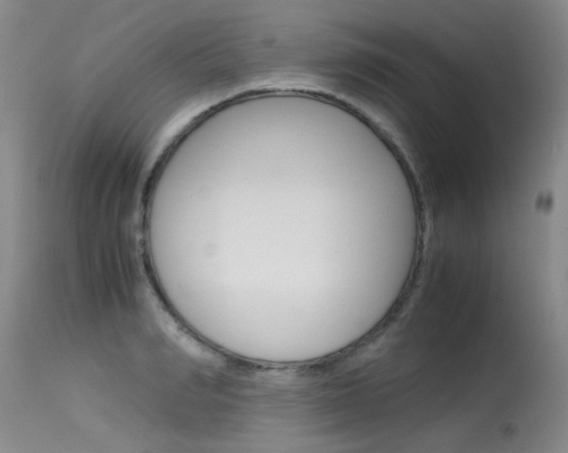 X0000115540990200911061146